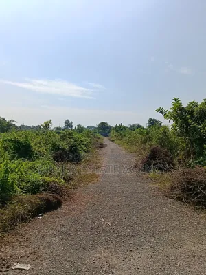 Sector 13, 3 Katha, Box Corner, South West Plot Sale