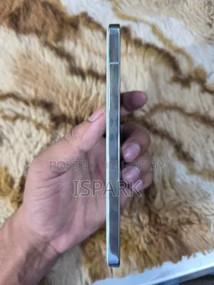 Xiaomi 13 256 GB Gray