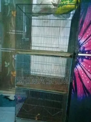 পাখির খাঁচা==২ থাক একটা ===সিঙ্গেল একটা।