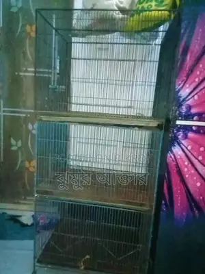 Bird Cage == Two Tiers One === Single One