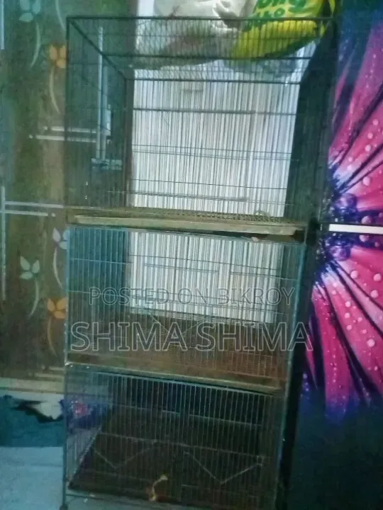 পাখির খাঁচা==২ থাক একটা ===সিঙ্গেল একটা।