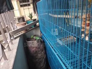 Big Size Heavy Bird Cage
