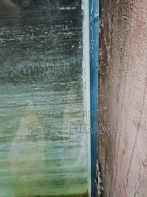 অ্যাকোয়ারিয়াম ৪ ফিট