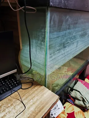 অ্যাকোয়ারিয়াম ৪ ফিট