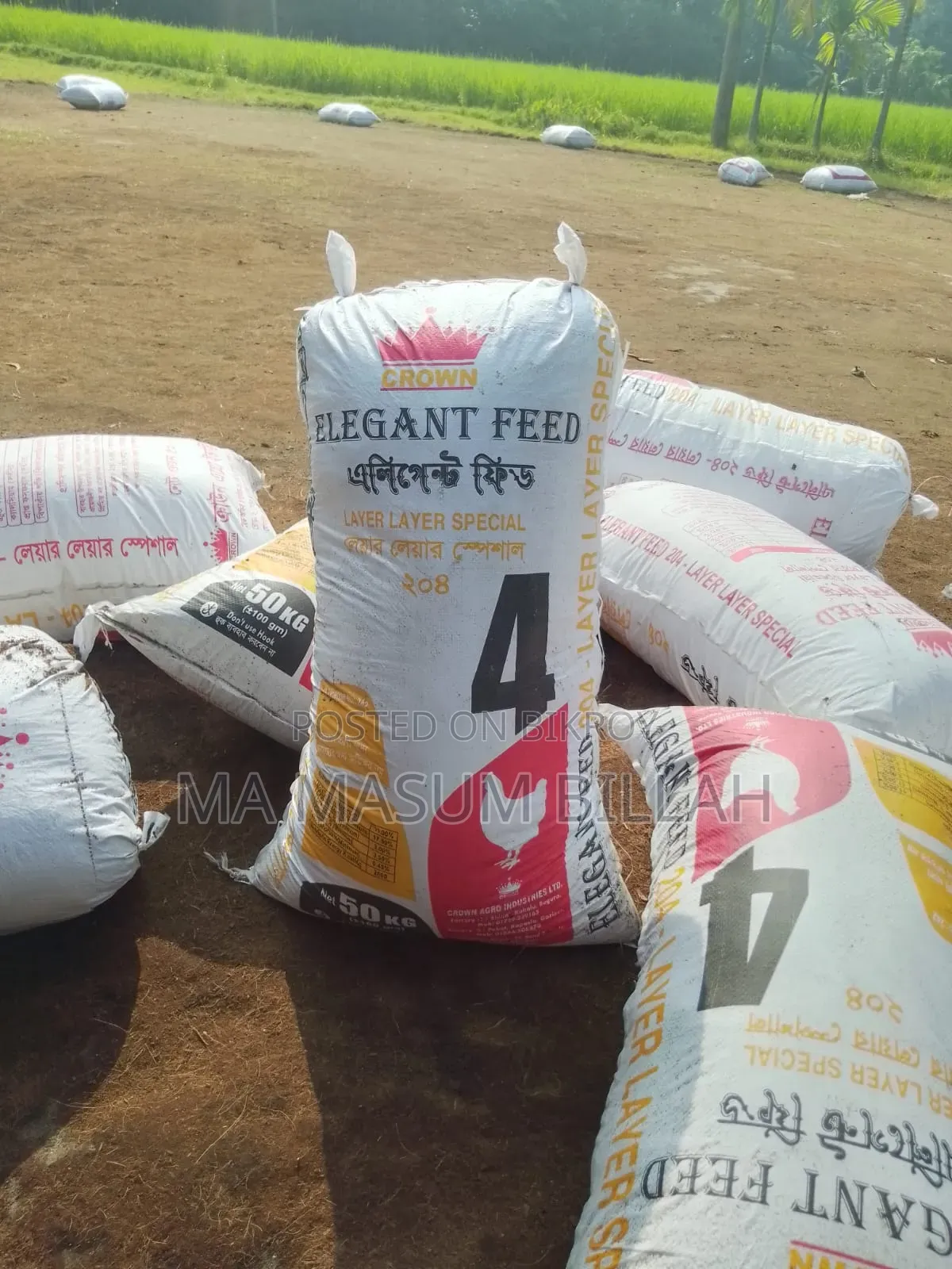 Dry Coco Peat