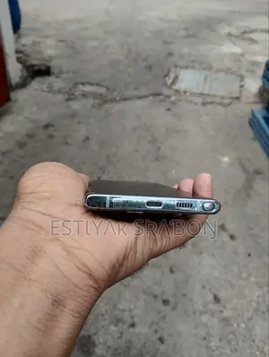 স্যামসাং গ্যালাক্সি নোট ১০ প্লাস ৫জি ২৫৬ জিবি সিলভার