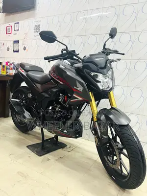 হোন্ডা হর্নেট ২.০ ২০২৪ গ্রে