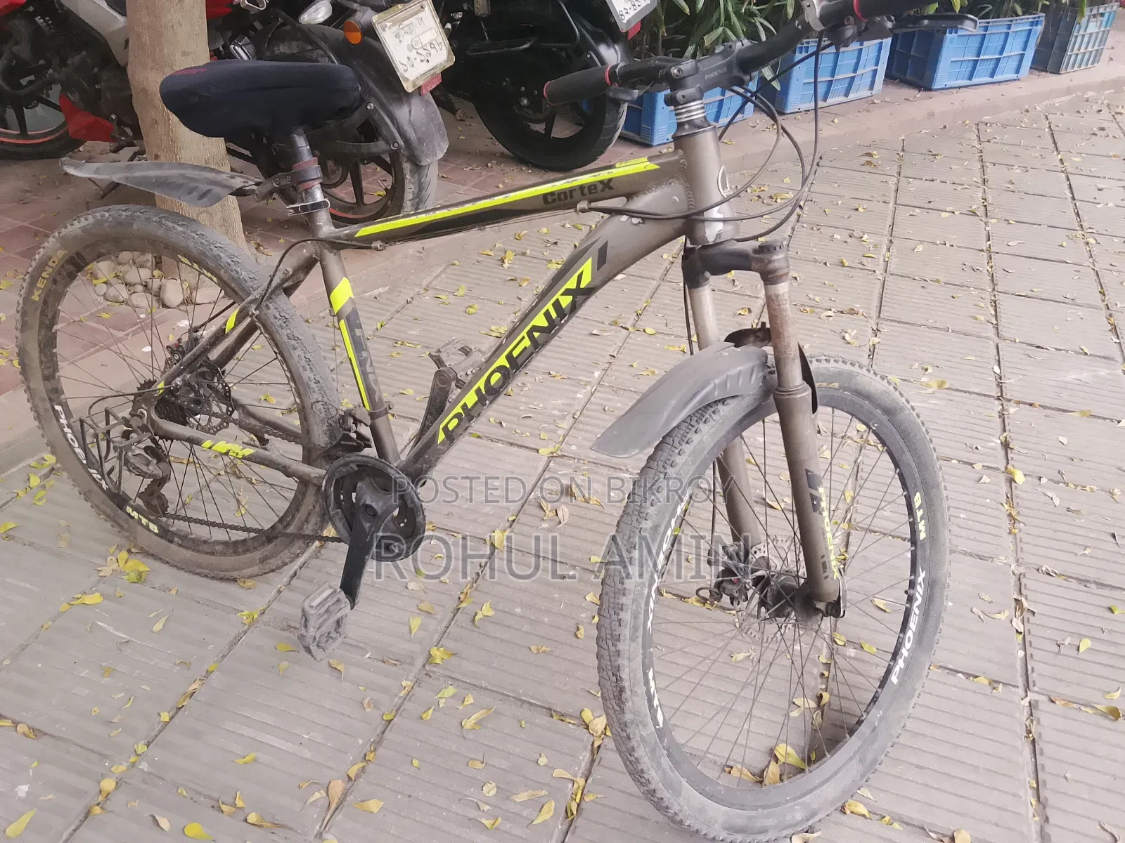 Bicycle for Sale