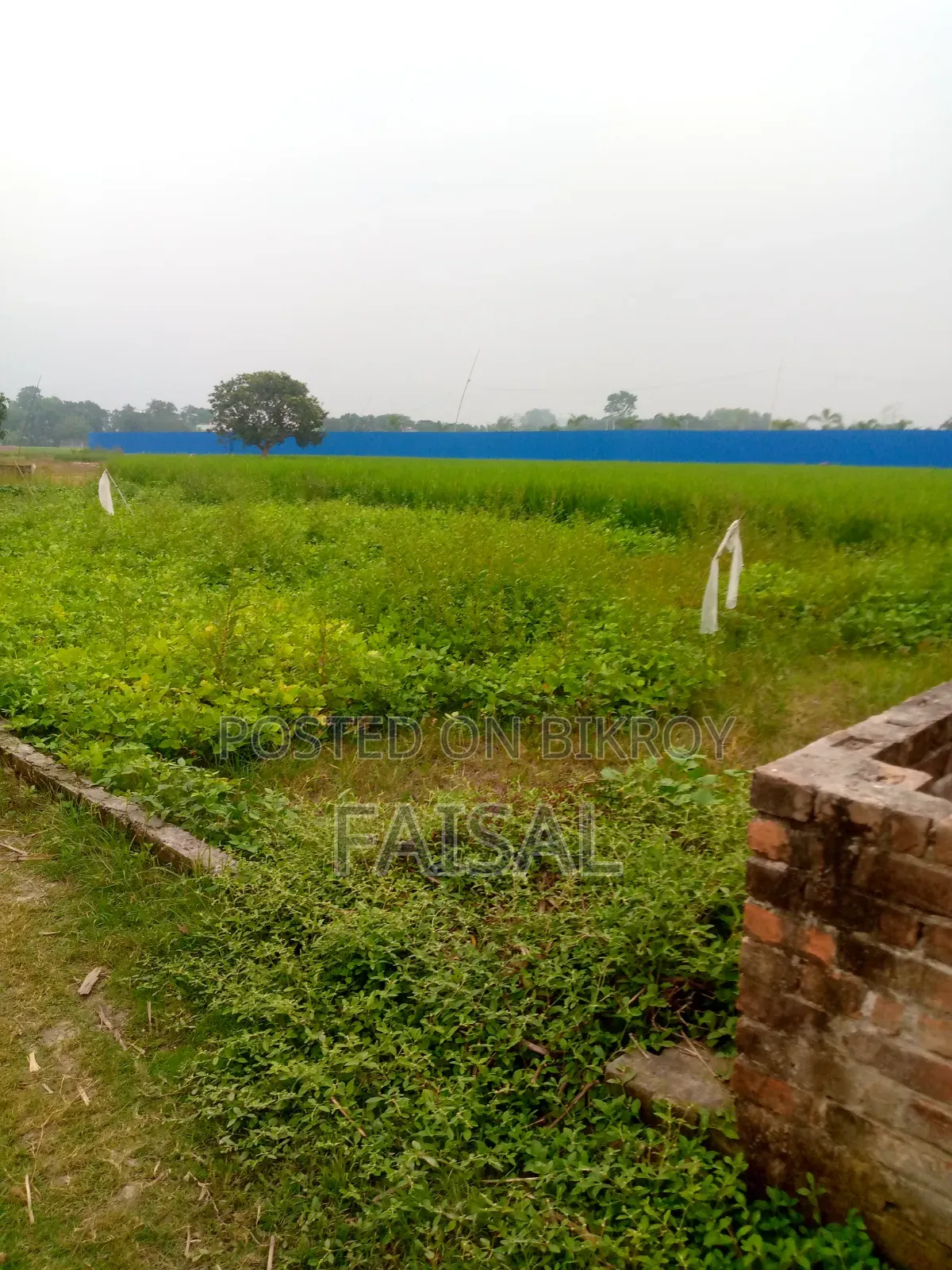 ২.৫ কাঠা জমি বিক্রয় হইবে