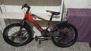 Kid's Cycle (Velocity)