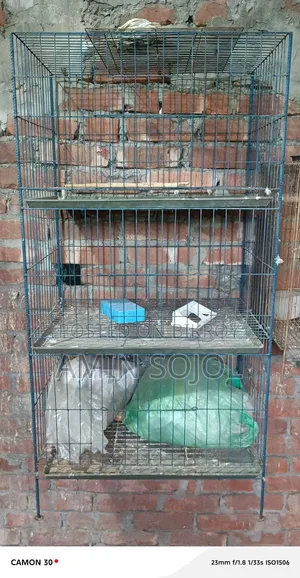 3 Compartment Pigeon Cage