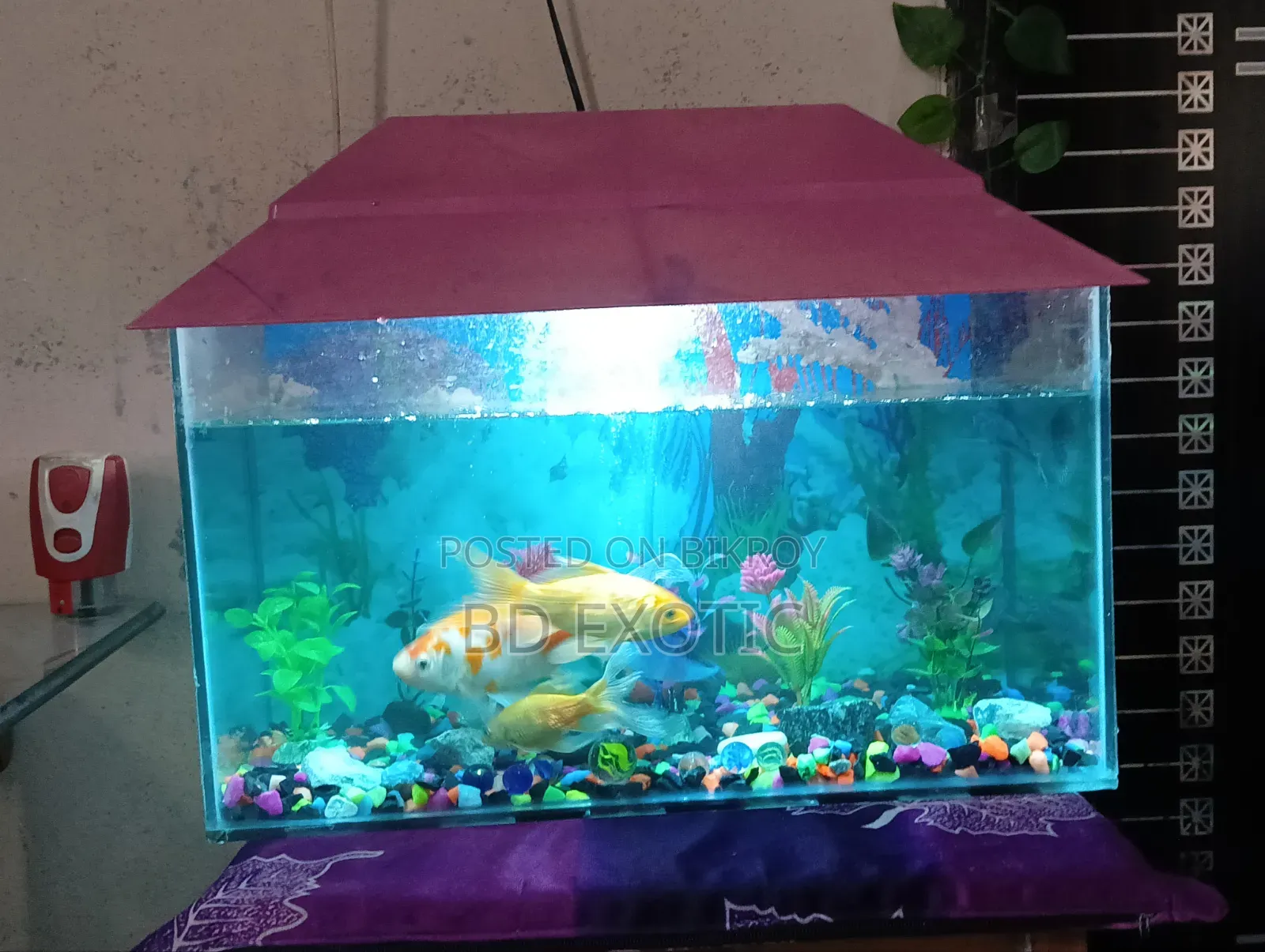Full Set for Sell