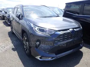 টয়োটা RAV4 ২০২১ গ্রে
