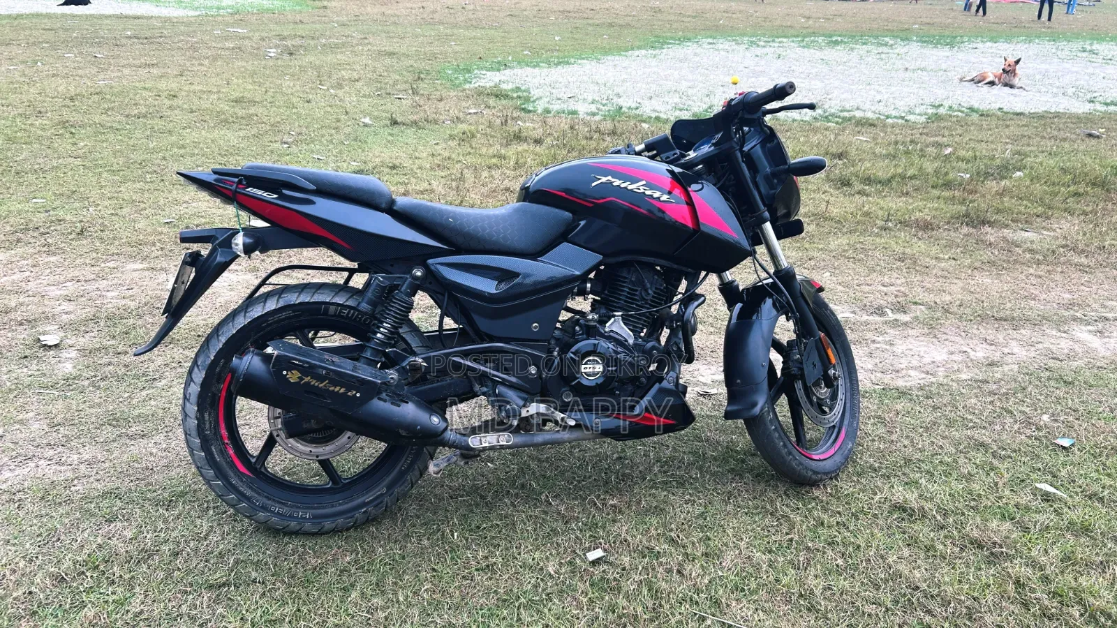 বাজাজ এভেঞ্জার ১৫০ স্ট্রিট ২০২১ কালো