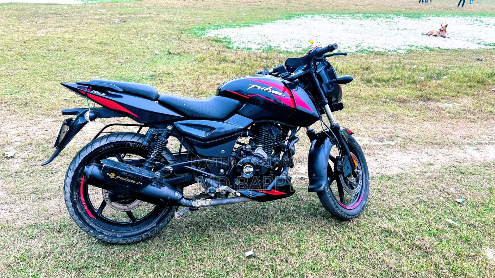 বাজাজ এভেঞ্জার ১৫০ স্ট্রিট ২০২১ কালো