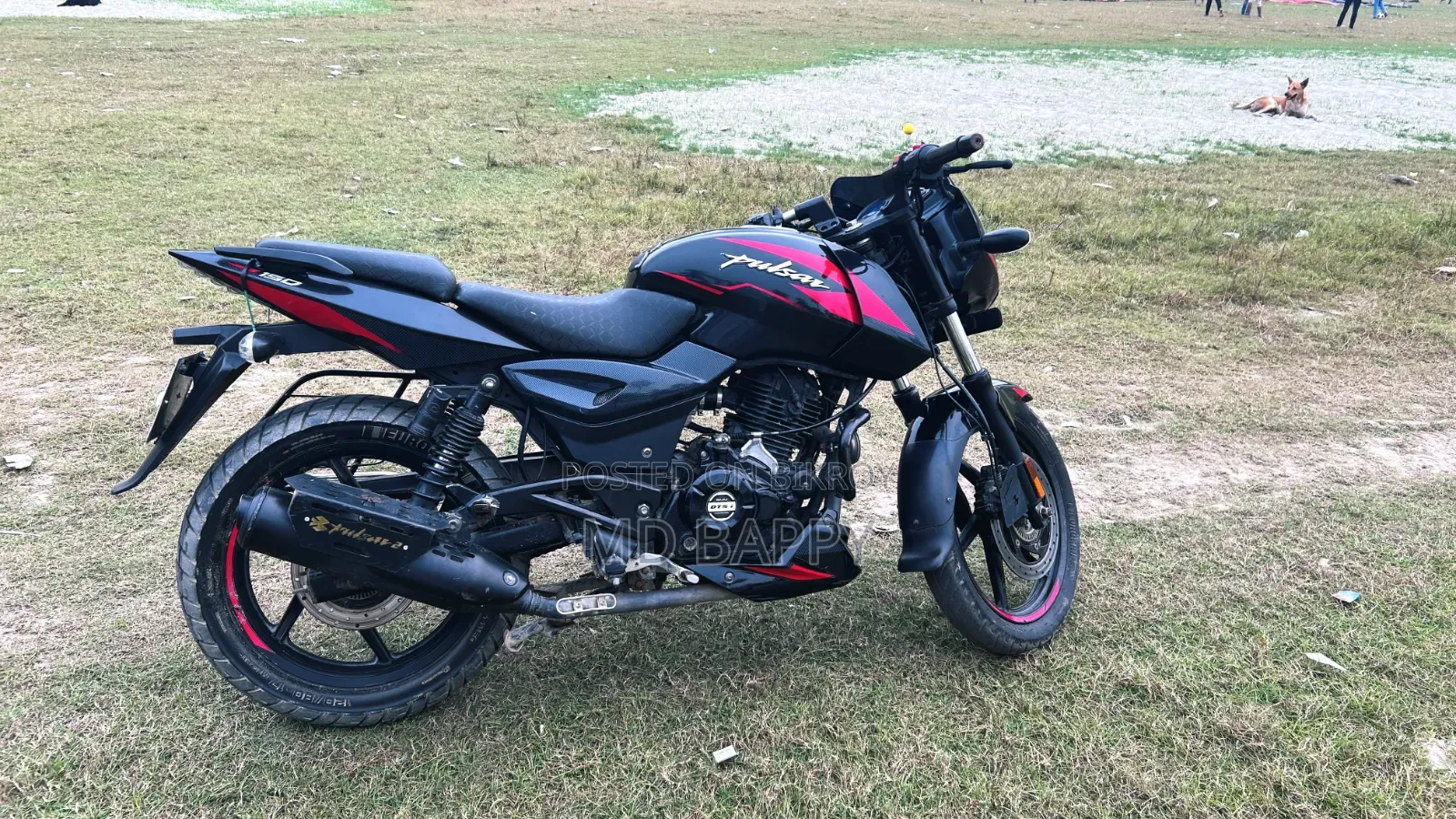 বাজাজ এভেঞ্জার ১৫০ স্ট্রিট ২০২১ কালো