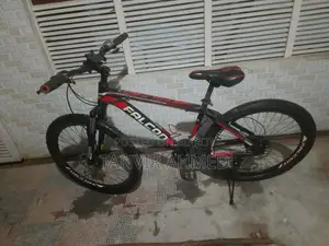 Used Bicycle