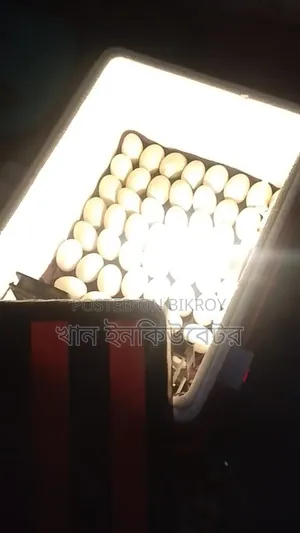 AC DC Incubator / Dim Fotano Machine