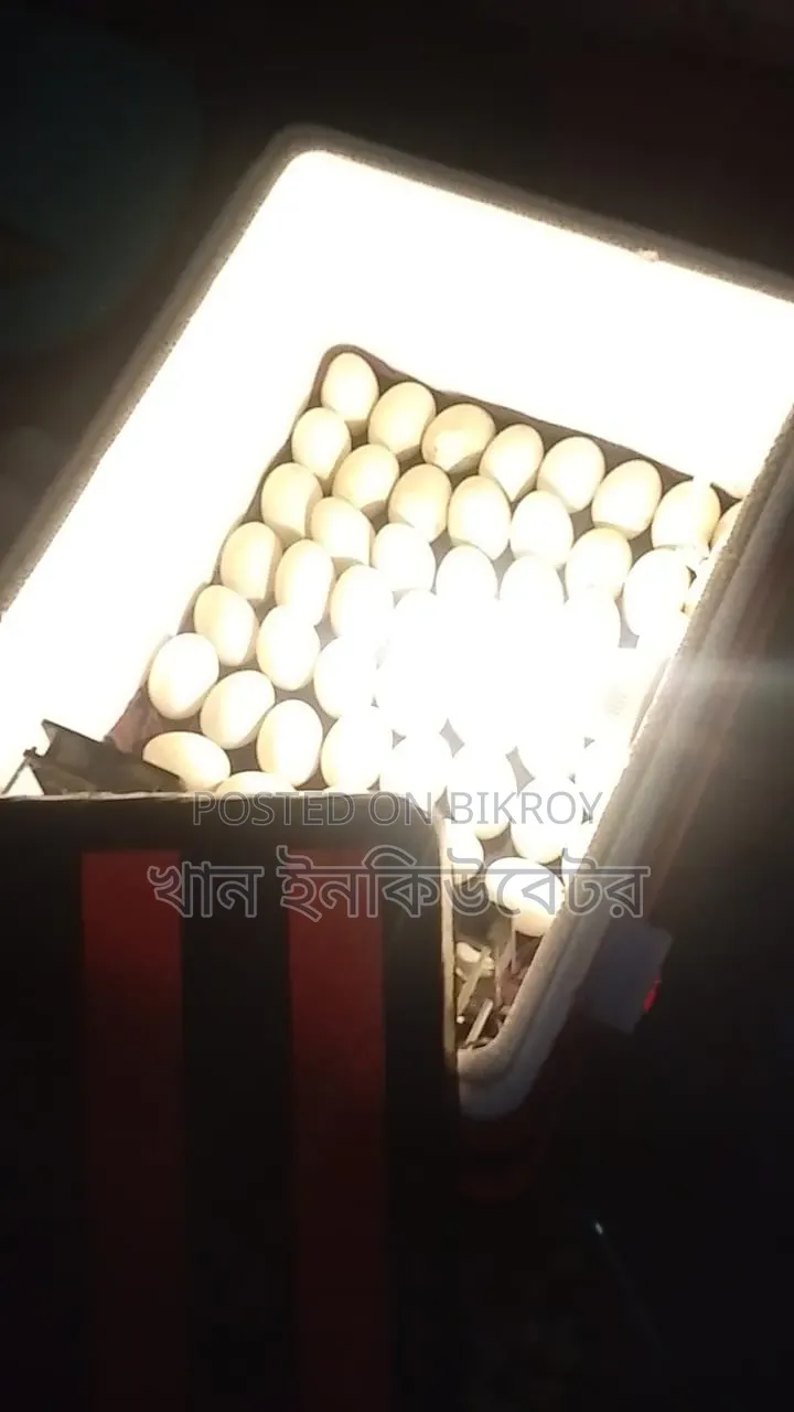 এসি ডিসি ইনকিউবেটর / ডিম ফোটানো মেশিন