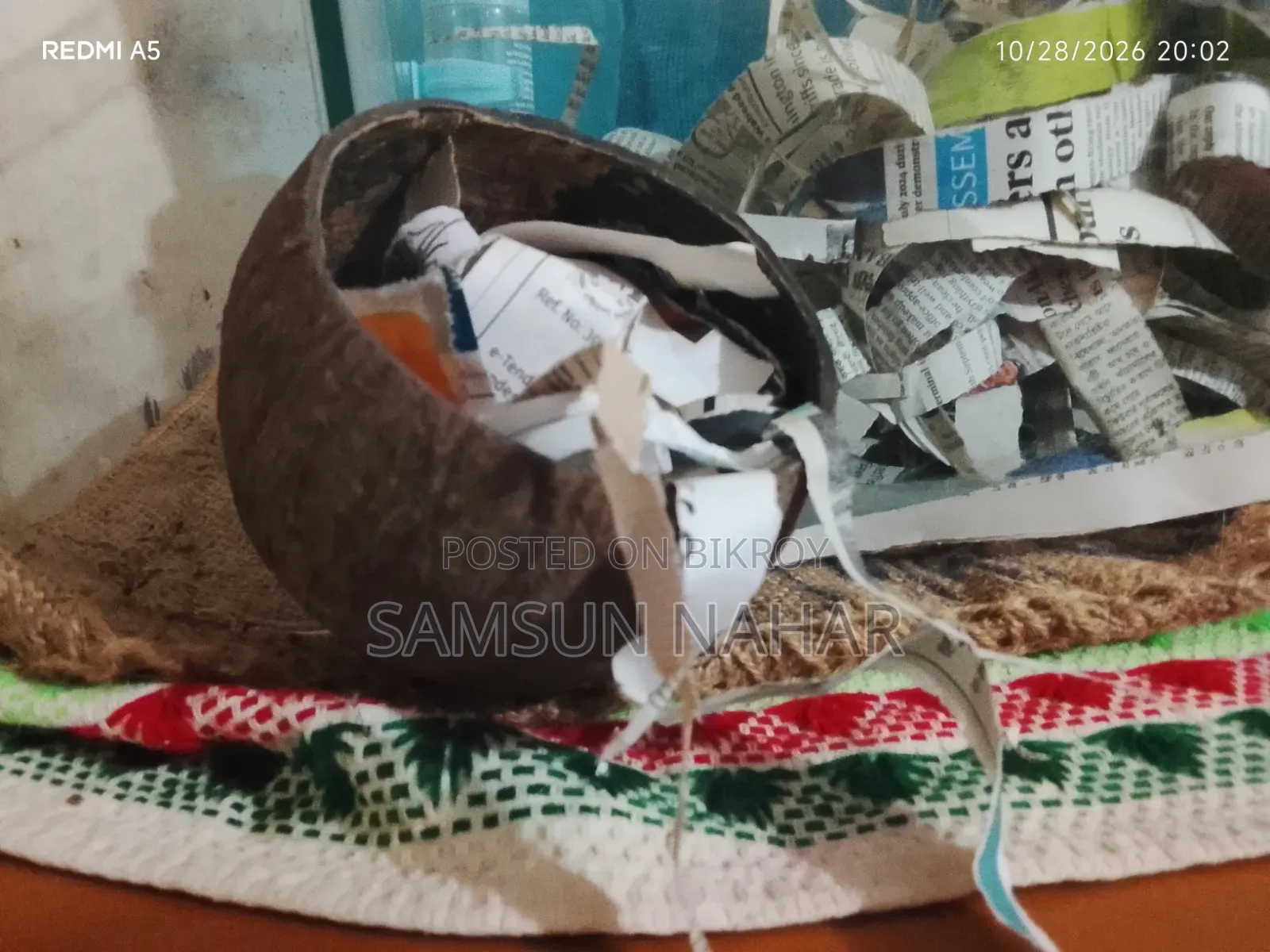 ৩ মাসের হ্যামস্টার পানির পাত্র, নারকেলের খোসার ঘর এবং কাঁচের ঘরের সাথে