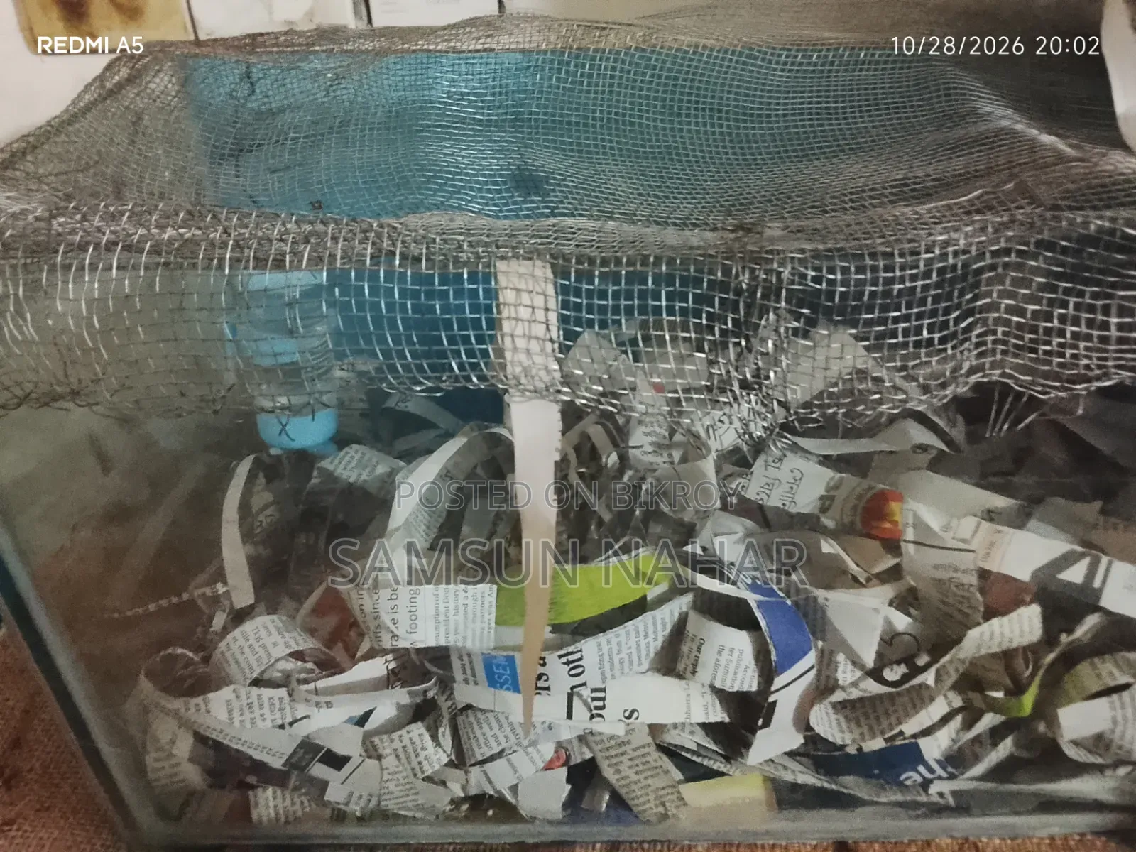 ৩ মাসের হ্যামস্টার পানির পাত্র, নারকেলের খোসার ঘর এবং কাঁচের ঘরের সাথে