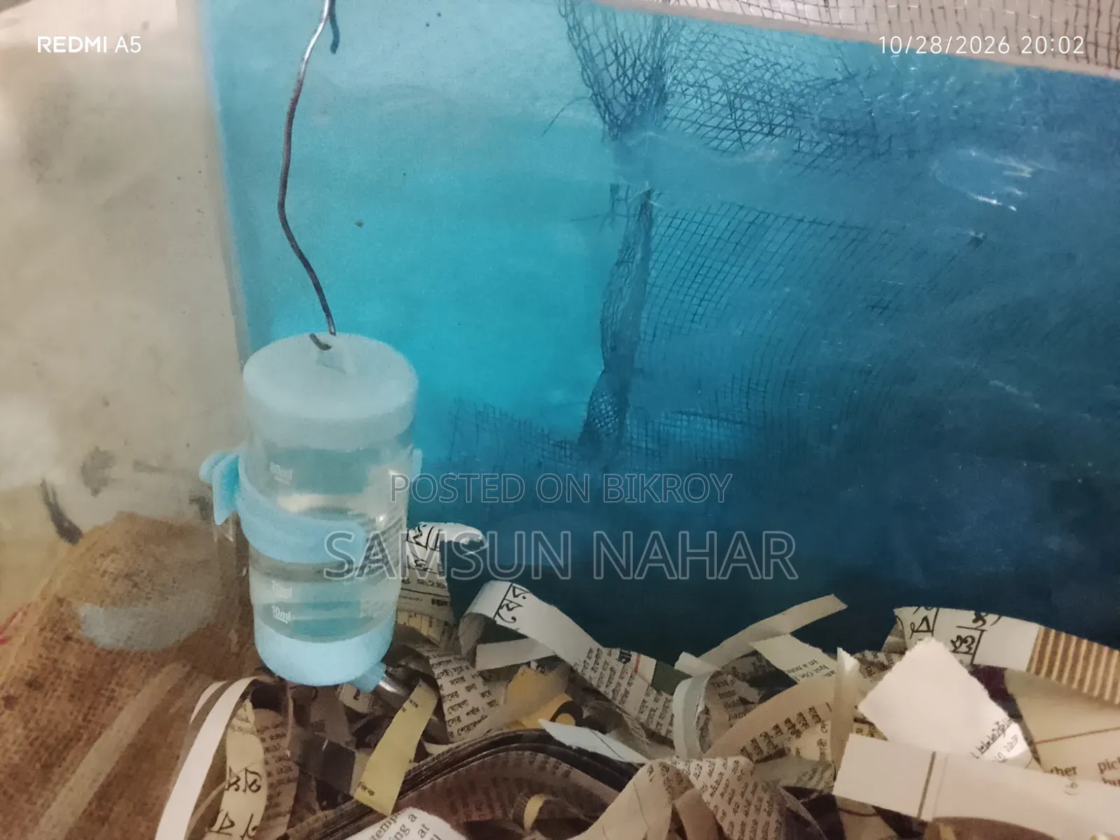 ৩ মাসের হ্যামস্টার পানির পাত্র, নারকেলের খোসার ঘর এবং কাঁচের ঘরের সাথে