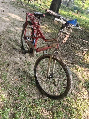 Bicycle.....