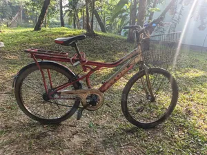 Bicycle.....