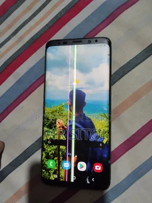 Samsung Galaxy S9 Plus 64 GB Blue