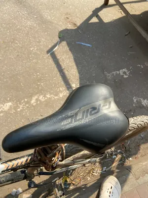 নেক্রো সাইকেল