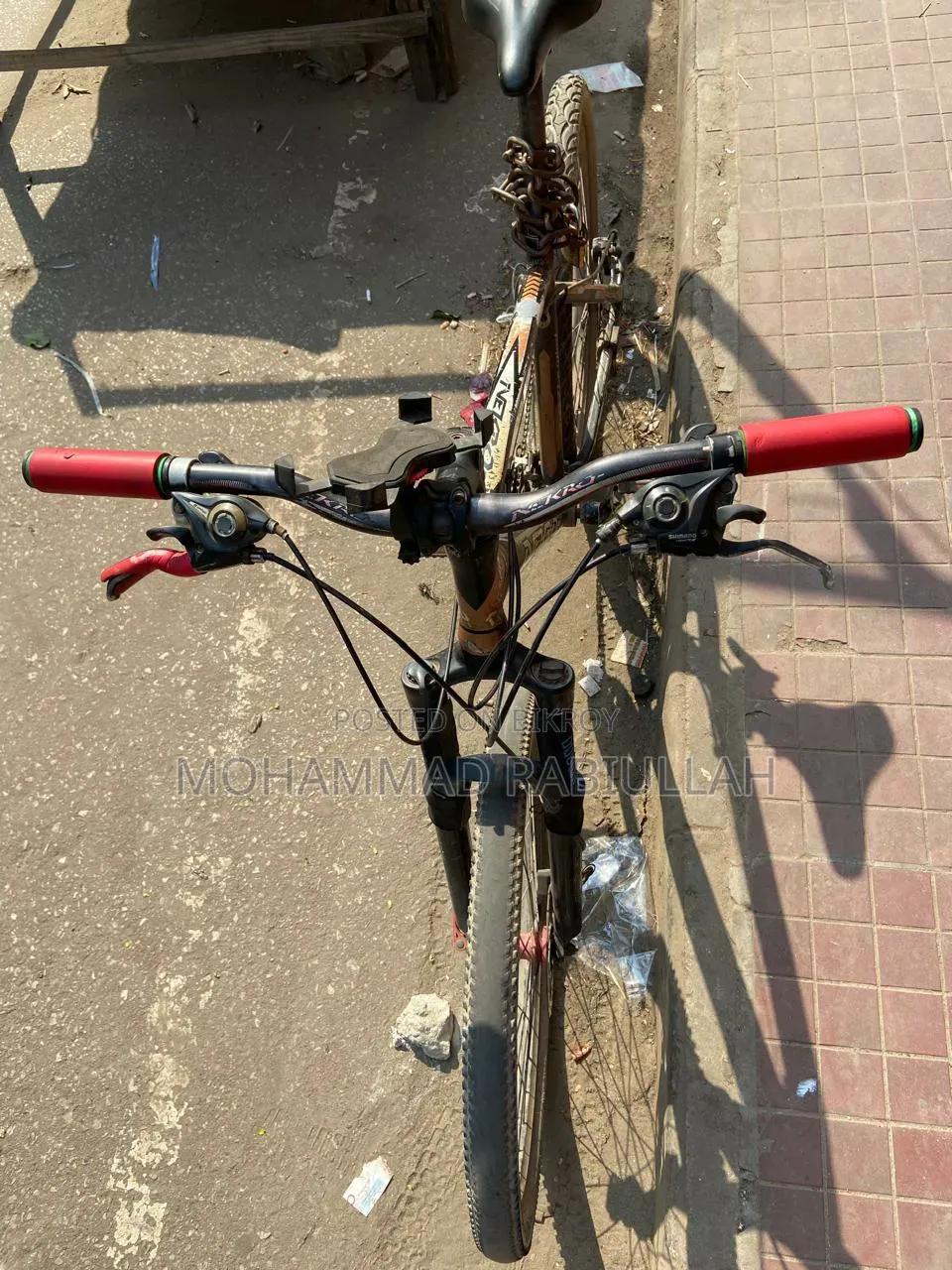নেক্রো সাইকেল