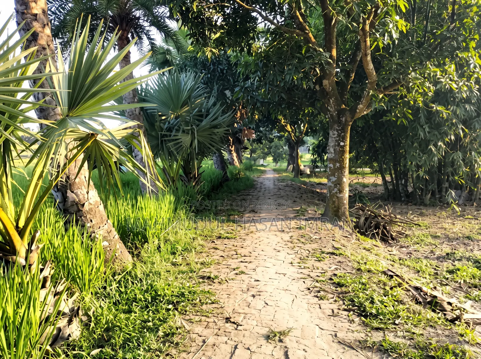 গাজীপুর শ্রীপুরে ফ্যাক্টরি বা প্রজেক্টের জন্য ৪.৫ বিঘা এক দাগের জমি