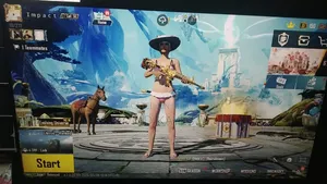 Gaming Monitor