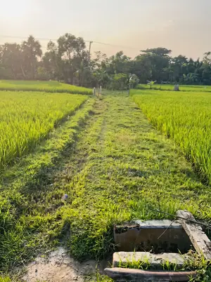গাজীপুর শ্রীপুরে ফ্যাক্টরি বা প্রজেক্টের জন্য ৪.৫ বিঘা এক দাগের জমি