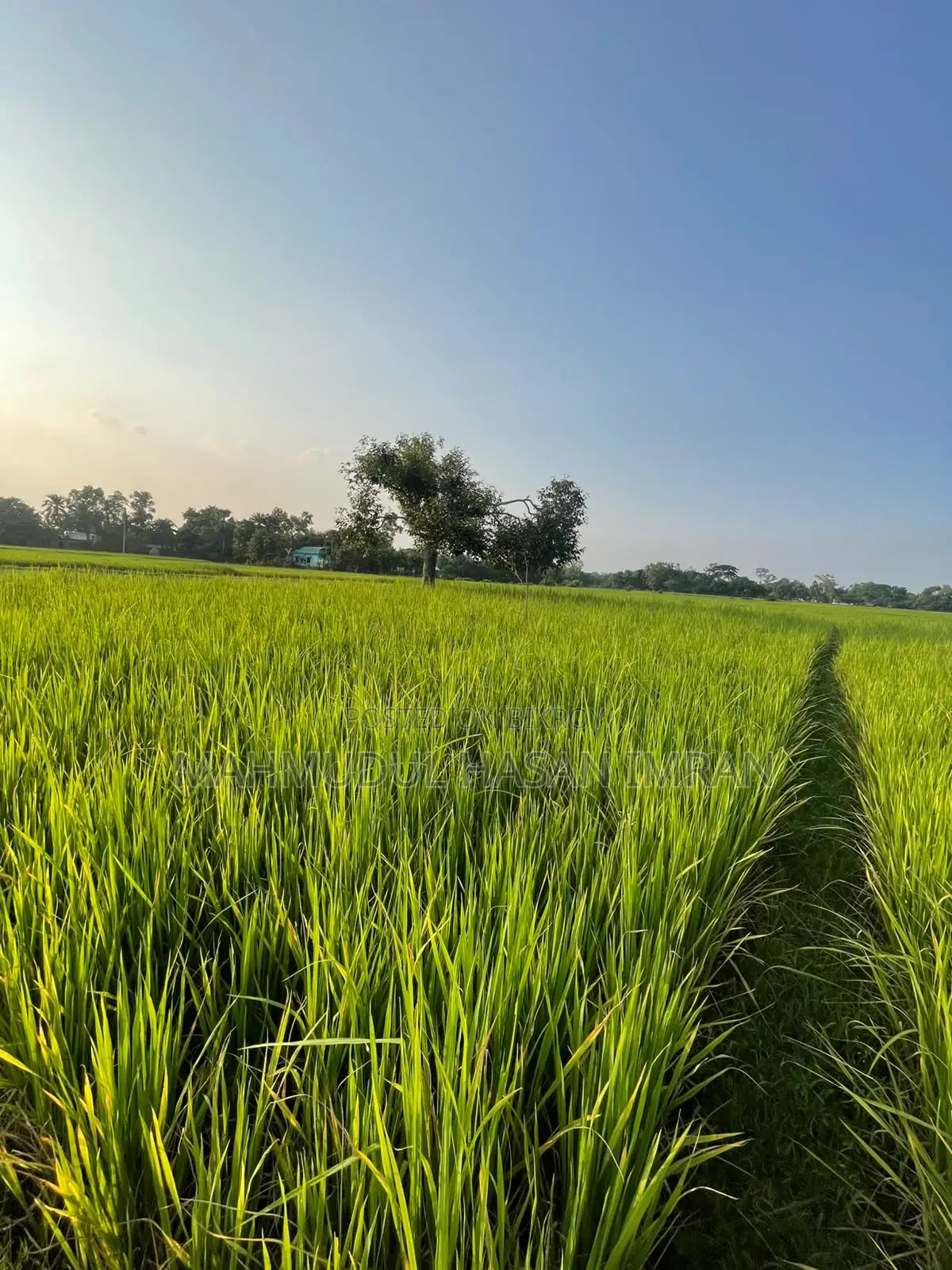 গাজীপুর শ্রীপুরে ফ্যাক্টরি বা প্রজেক্টের জন্য ৪.৫ বিঘা এক দাগের জমি
