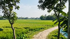 গাজীপুর শ্রীপুরে ফ্যাক্টরি বা প্রজেক্টের জন্য ৪.৫ বিঘা এক দাগের জমি