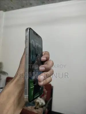 Apple iPhone 12 Pro 128 GB Silver