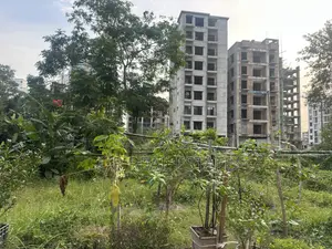 M-Block, 3-Katha, South-Face, Near 300' Road, Bashundhara R/A