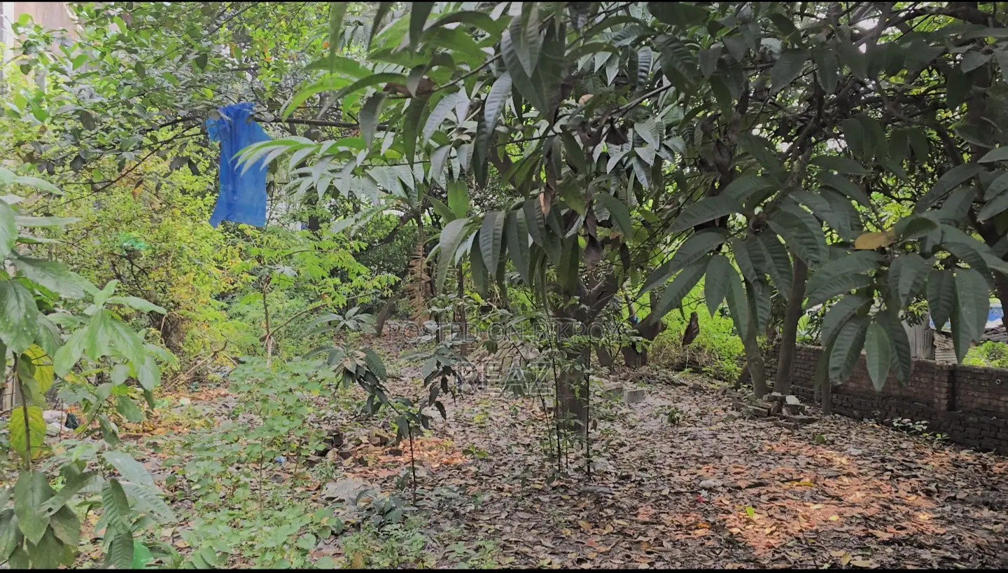 Land / Plot for sell
