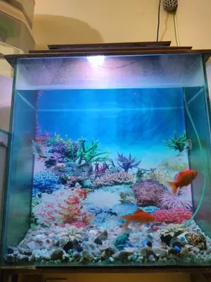 অ্যাকুরিয়াম বিক্রি হবে