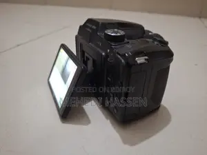 নিকন কুলপিক্স বি৫০০