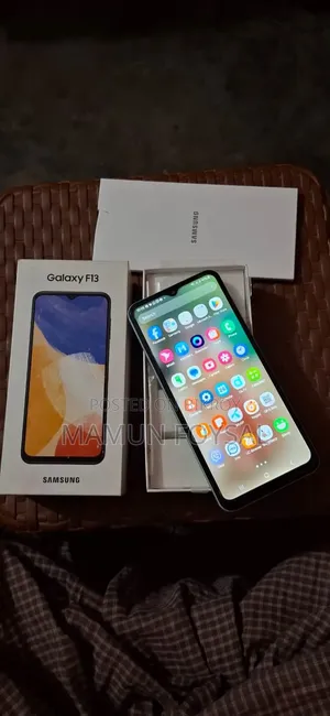স্যামসাং গ্যালাক্সি এফ১৩ ৬৪ জিবি
