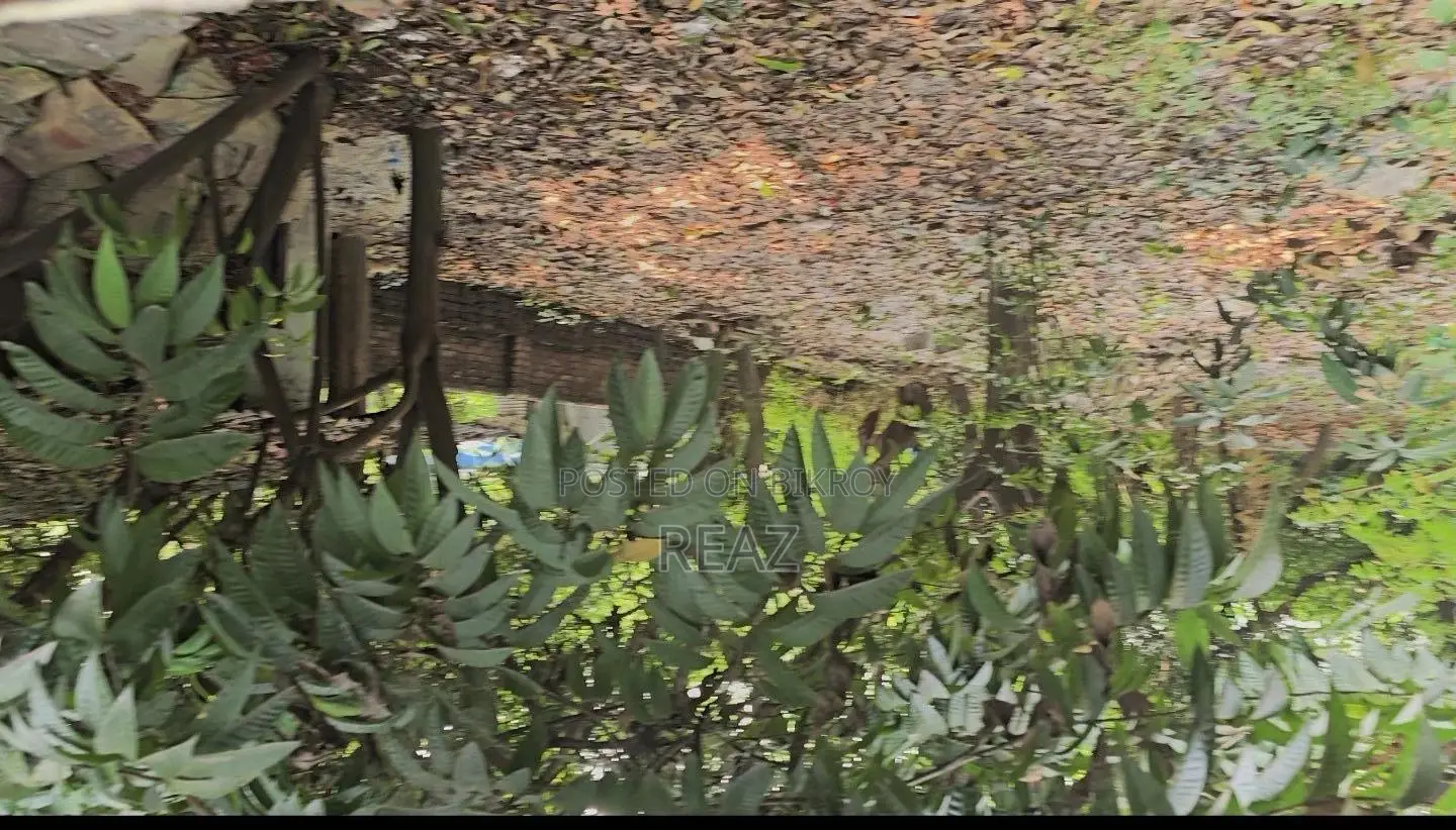 Land / Plot for sell