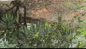 Land / Plot for sell