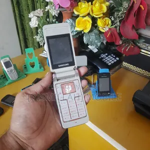 Samsung S3600 Purple