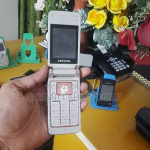 Samsung S3600 Purple