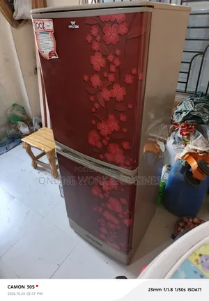 Walton Fridge Available with Stabilizer