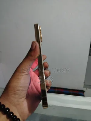 Apple iPhone 13 Pro Max 256 GB Gold