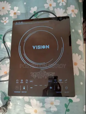 Vision Induction