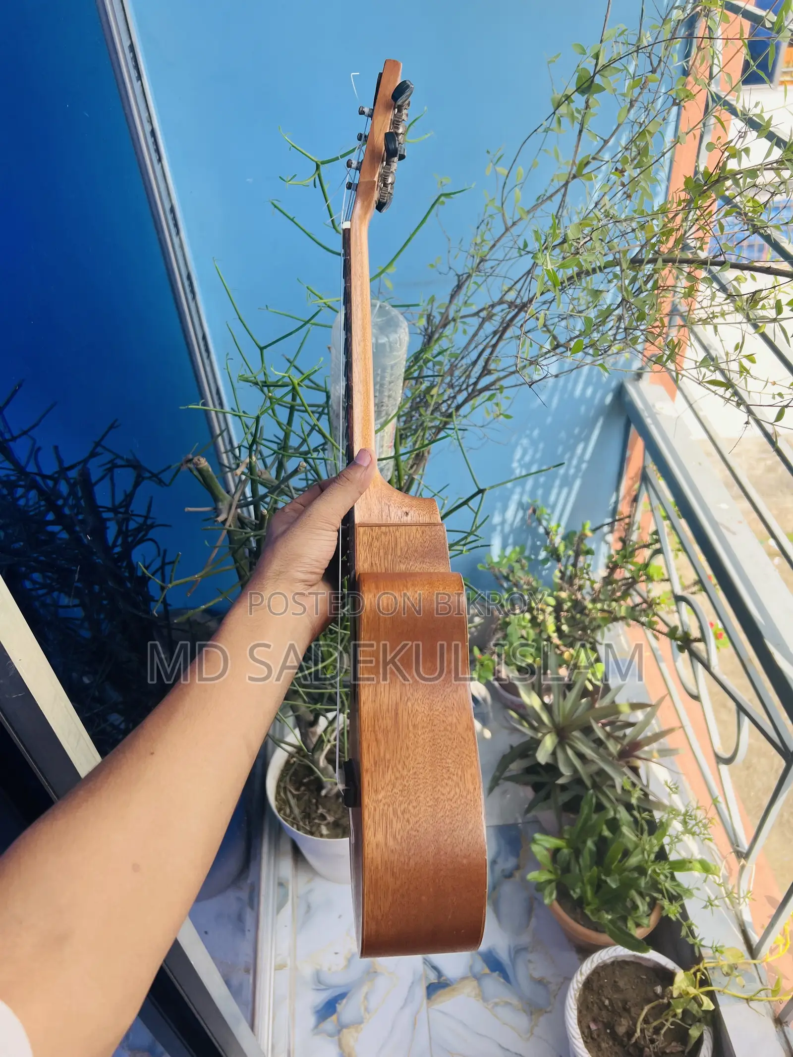 Ukulele BWS